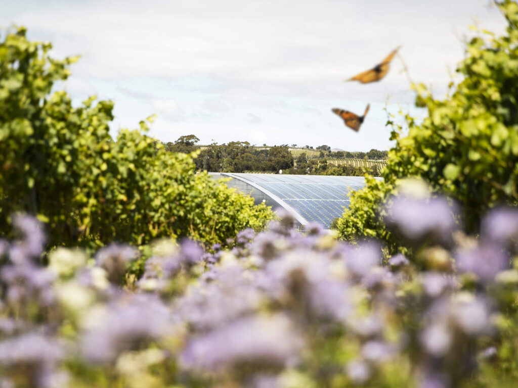 Solar, Bees & Interrow planting