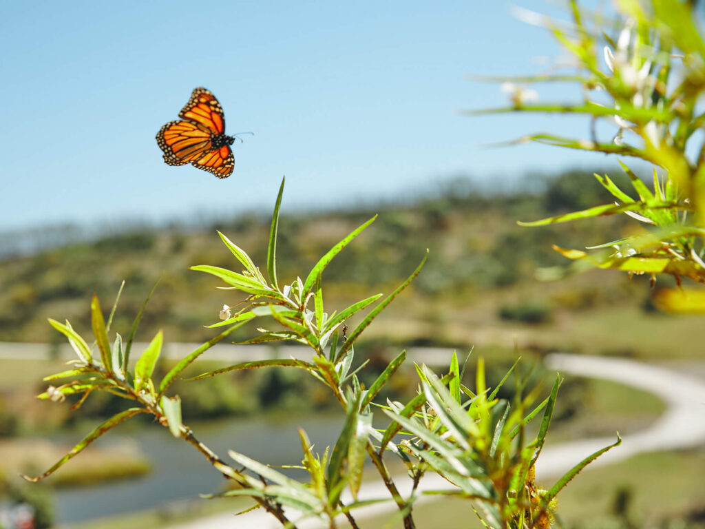 Biodiversity story